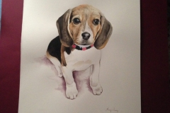 NIZA Aquarelle