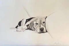 Niza Aquarelle